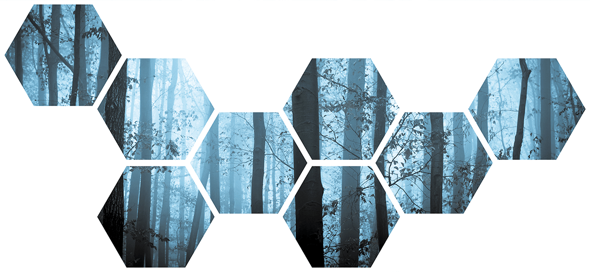 Adesivi Murali: Kit Geometrico Foresta blu