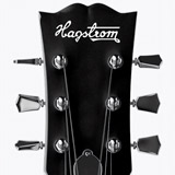 Adesivi per Auto e Moto: Hagstrom 2