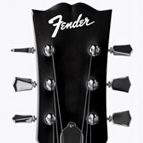 Adesivi per Auto e Moto: Fender 2