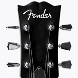 Adesivi per Auto e Moto: Fender II 2