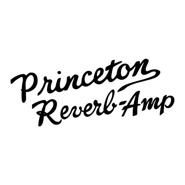 Adesivi per Auto e Moto: Princeton Reverb-Amp