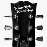 Adesivi per Auto e Moto: Princeton Reverb-Amp 2