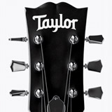 Adesivi per Auto e Moto: Taylor 2