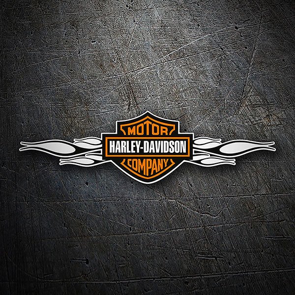 Adesivi per Auto e Moto: Harley Davidson fiamme nere