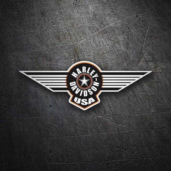Adesivi per Auto e Moto: Harley Davidson USA