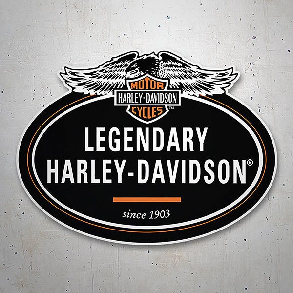 Adesivi per Auto e Moto: Legendary Harley Davidson