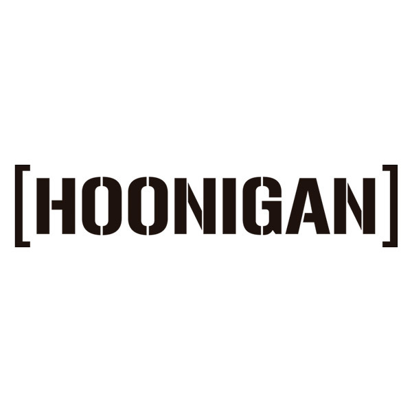Adesivi per Auto e Moto: Hoonigan