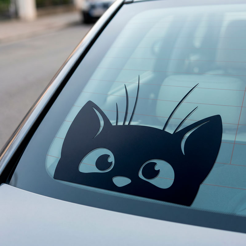 Gatto pipistrello 2/3