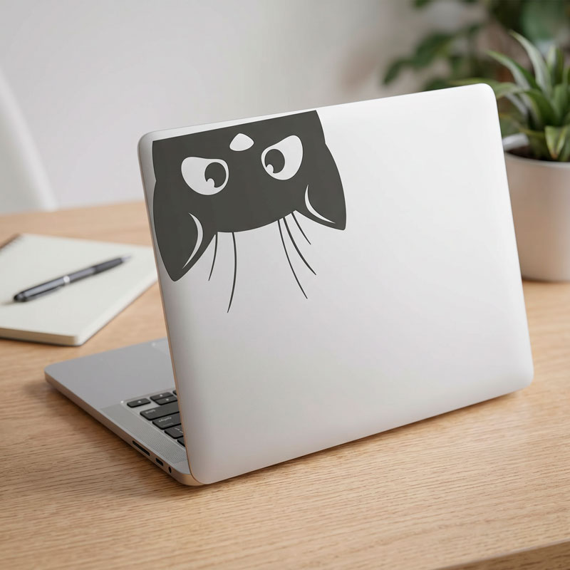 Gatto pipistrello 3/3