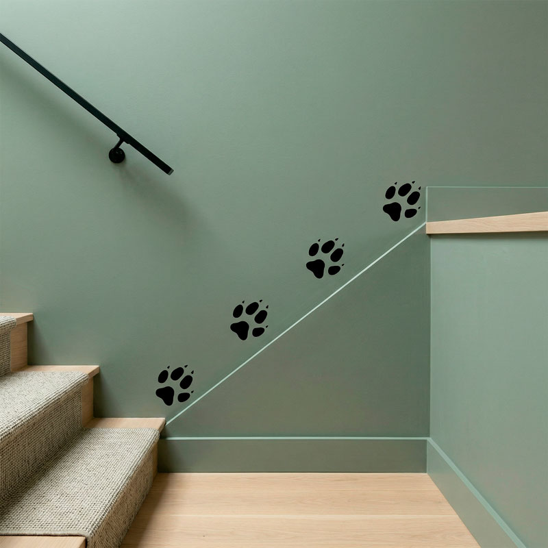 Kit 4 tracce di cani 9/9