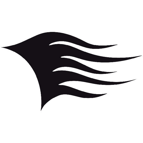 Adesivi per Auto e Moto: Llamas