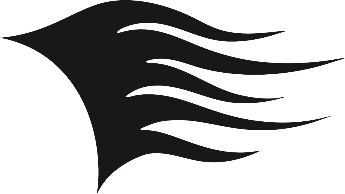 Adesivi per Auto e Moto: Llamas