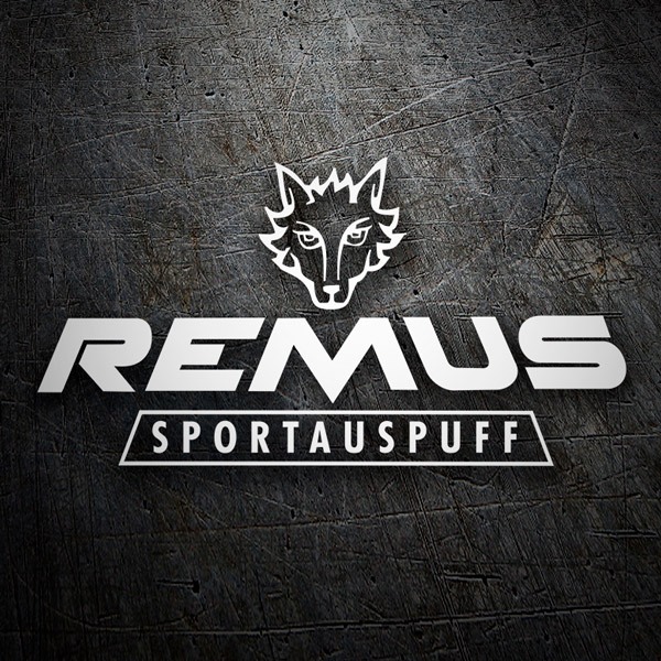 Adesivi per Auto e Moto: Remus