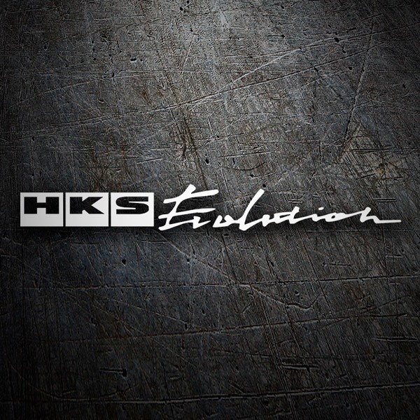 Adesivi per Auto e Moto: HKS Evolution