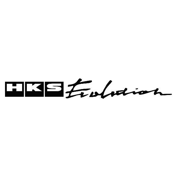 Adesivi per Auto e Moto: HKS Evolution
