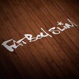 Adesivi per Auto e Moto: Fatboy Slim con Stella 2