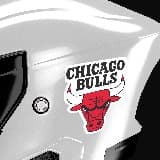 Adesivi per Auto e Moto: NBA - Chicago Bulls scudo 6