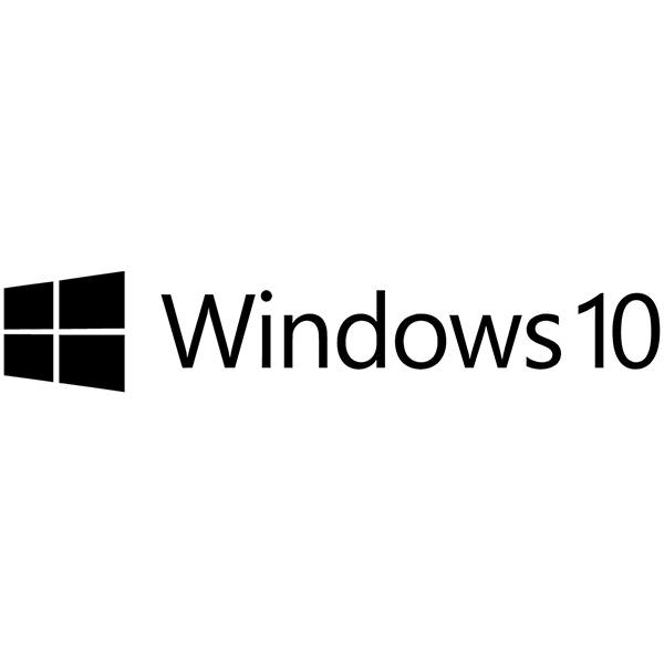Adesivi per Auto e Moto: Windows 10