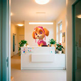 Adesivi per Bambini: Paw Patrol - Skye 12