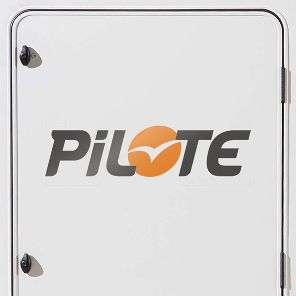 Adesivi per Auto e Moto: Pilote