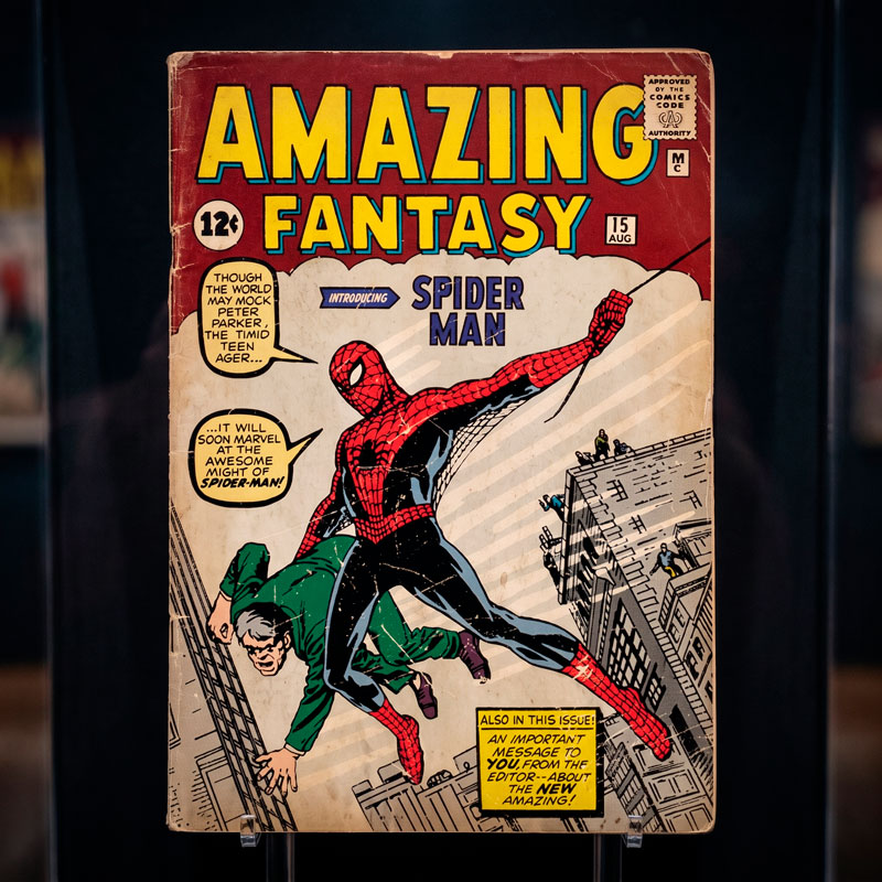 Spiderman Amazing 6