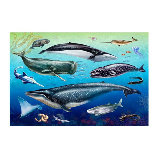 Adesivi Murali: Fauna Oceanica