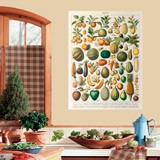 Adesivi Murali: Tipi di Frutta 3