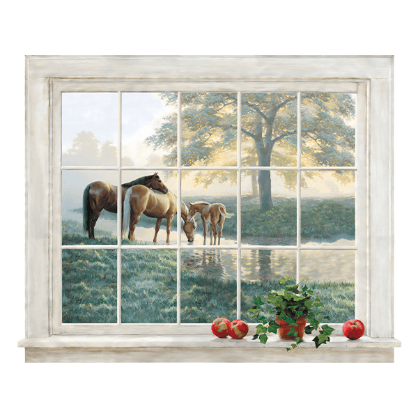 Adesivi Murali: Finestra dei cavalli