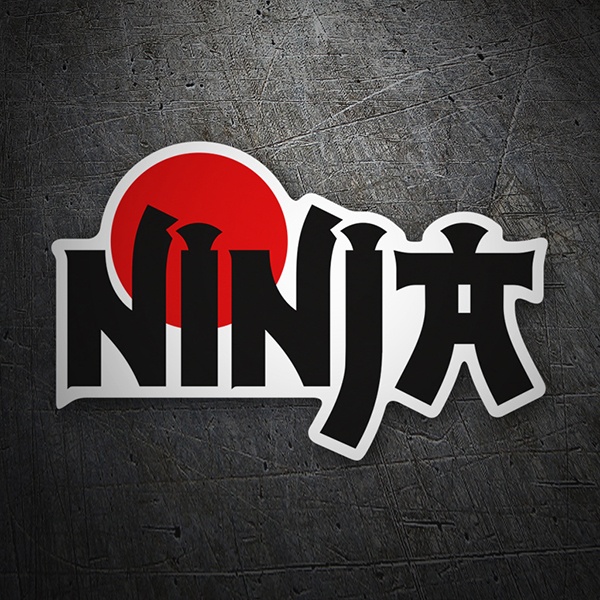 Adesivi per Auto e Moto: Ninja