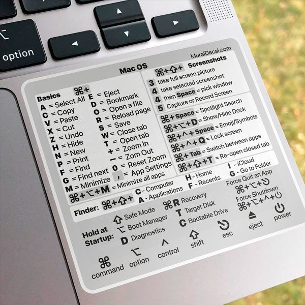 Adesivi Computer con Piante Sospese Laptop - Frigorifero - Adesivi per MacBook Piante in Vaso Stickers4 Set di 5 Adesivi illustrati 