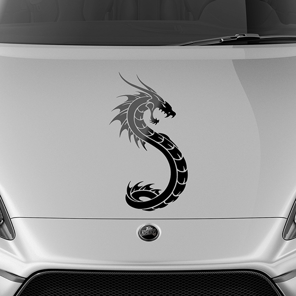 Adesivi per Auto e Moto: Dragones