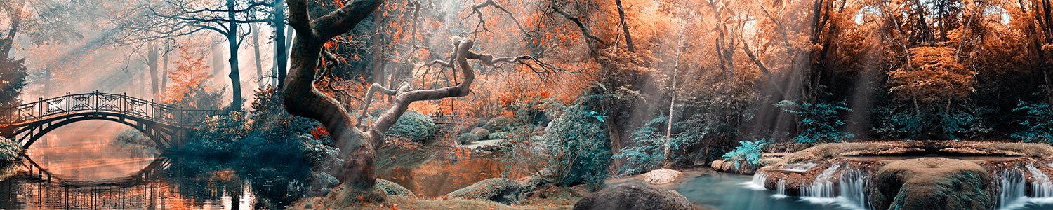 Fotomurali : Foresta e ponte in autunno