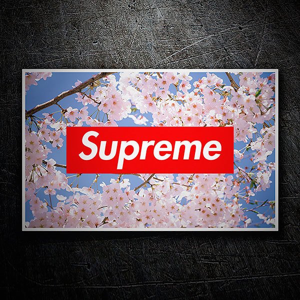 Adesivi per Auto e Moto: Supreme mandorlo