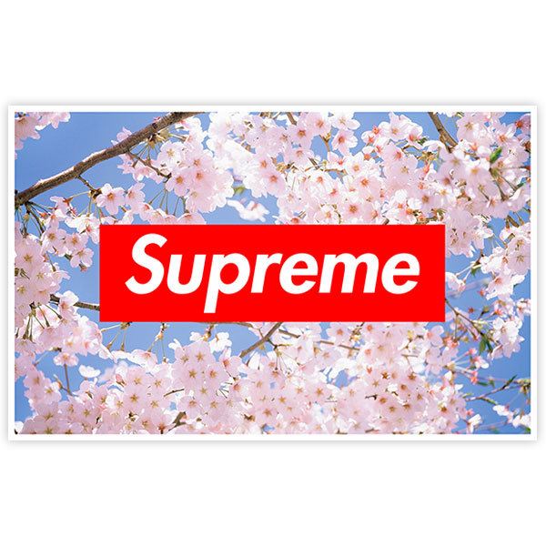 Adesivi per Auto e Moto: Supreme mandorlo