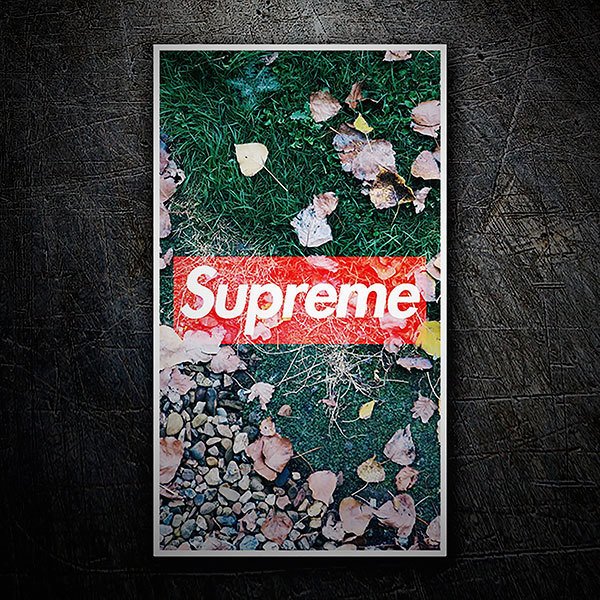 Adesivi per Auto e Moto: Supreme autunno