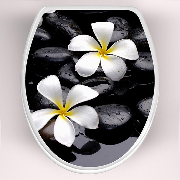 Adesivi Murali: Top Servizi igienici fiori frangipani 