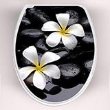 Adesivi Murali: Top Servizi igienici fiori frangipani  3