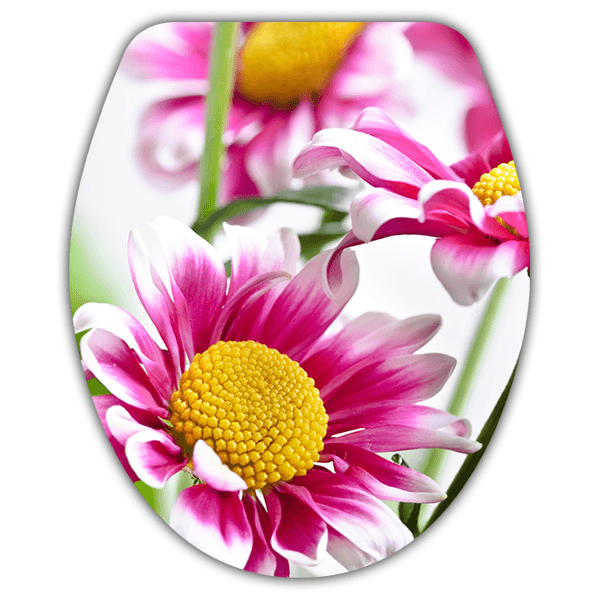 Adesivi Murali: Top wc fiori rosa 0
