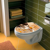 Adesivi Murali: Top wc Pietre acqua zen 6