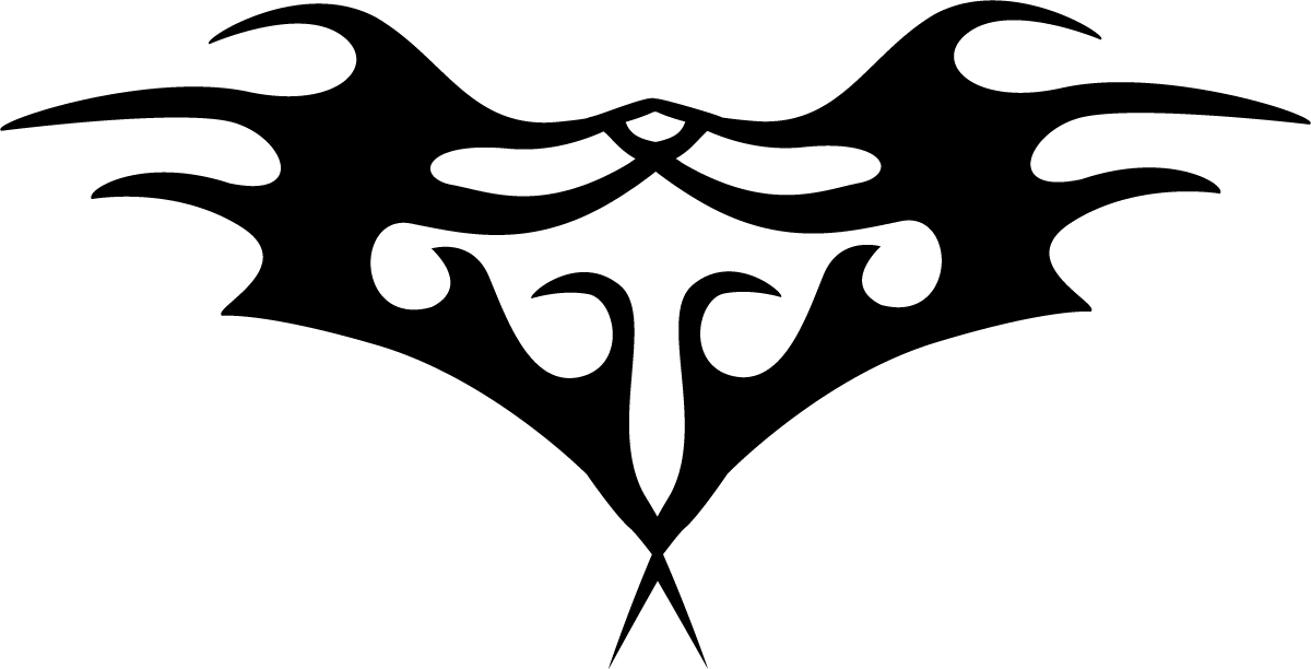 Adesivi per Auto e Moto: Tribali Flames