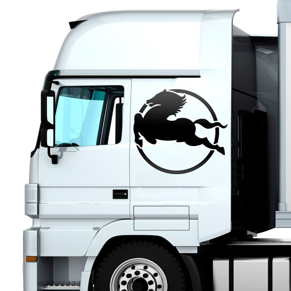 Adesivi per Auto e Moto: Iveco Pegaso per camion