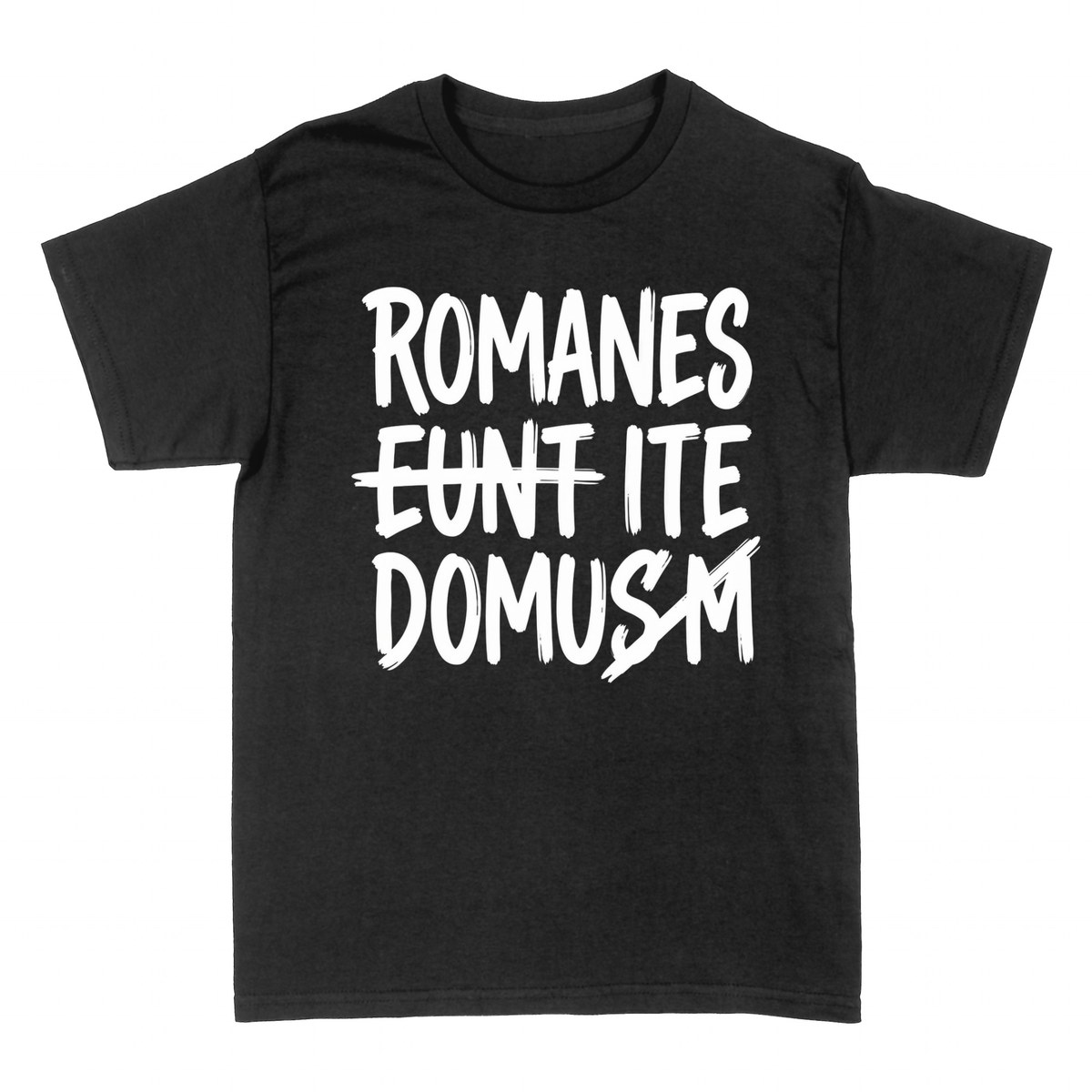 Magliette: Romanes Eunt Domusm &mdash; Latino con Ironia