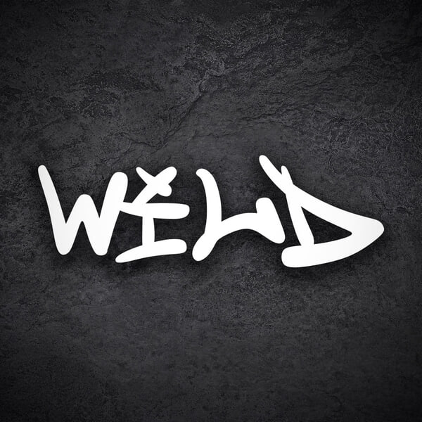 Adesivi per Auto e Moto: Doodle Graffiti Wild