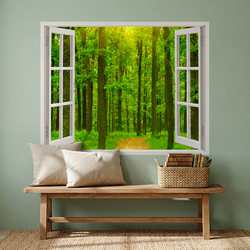 Foresta di abete 7/7