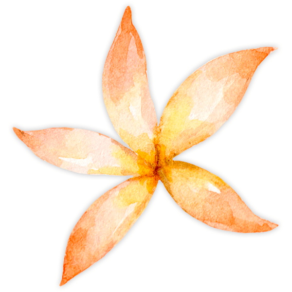 Adesivi per Bambini: Arancione fiore allungato