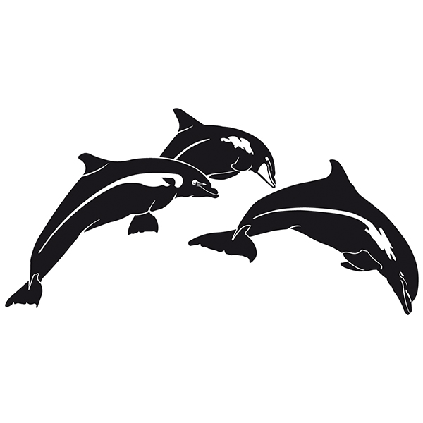 Adesivi per camper: Dolphins saltando