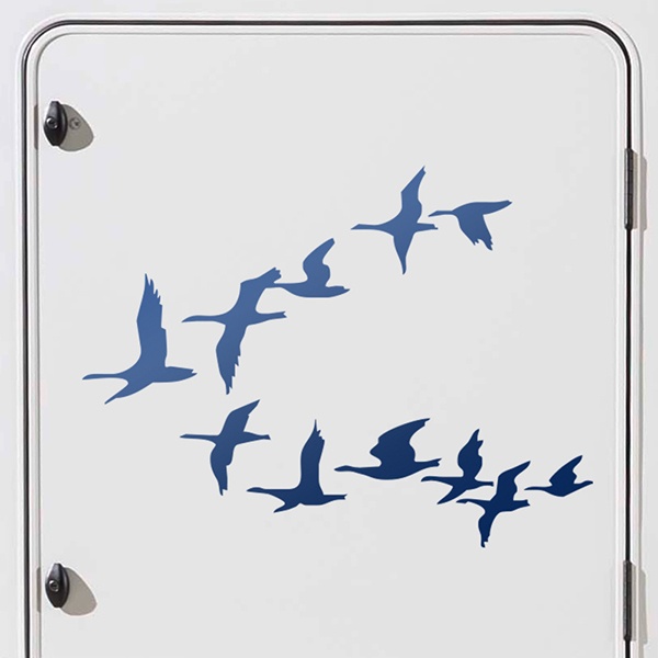 Adesivi per camper: Migrazione degli Uccelli