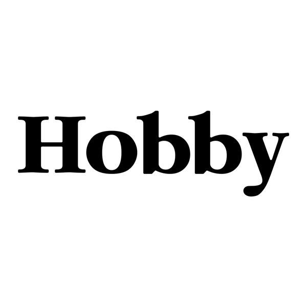 Adesivi per camper: Hobby 2