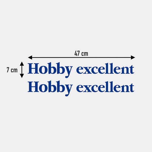 Adesivi per camper: Hobby excellent