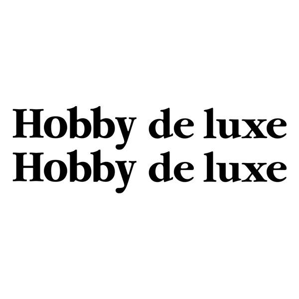 Adesivi per camper: Hobby de luxe